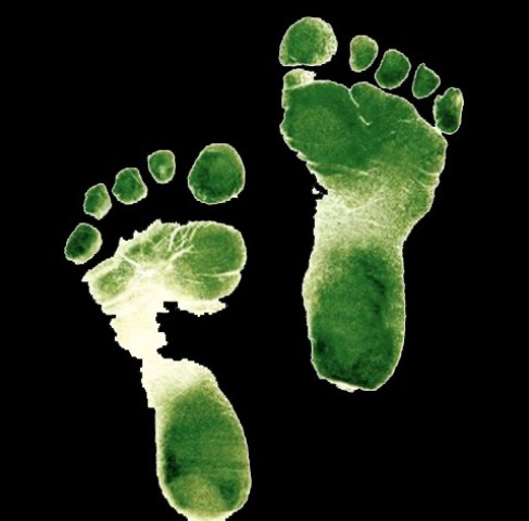 ¿Cree que tiene una vida sostenible? Mida su huella ecológica con una calculadora en Internet.
http://www.vidasostenible.org/ciudadanos/a1.asp o
http://www.footprintnetwork.org/en/index.php/GFN/page/calculators/