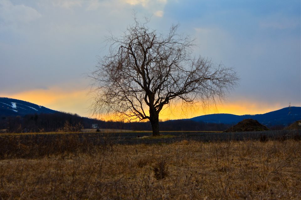 Atardecer en Warwick, NY. Foto de Enrique Murillo.