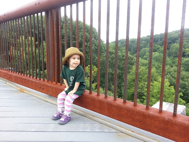 Una caminata por The Trestle, en Rosendale. Foto de Japheth Wood