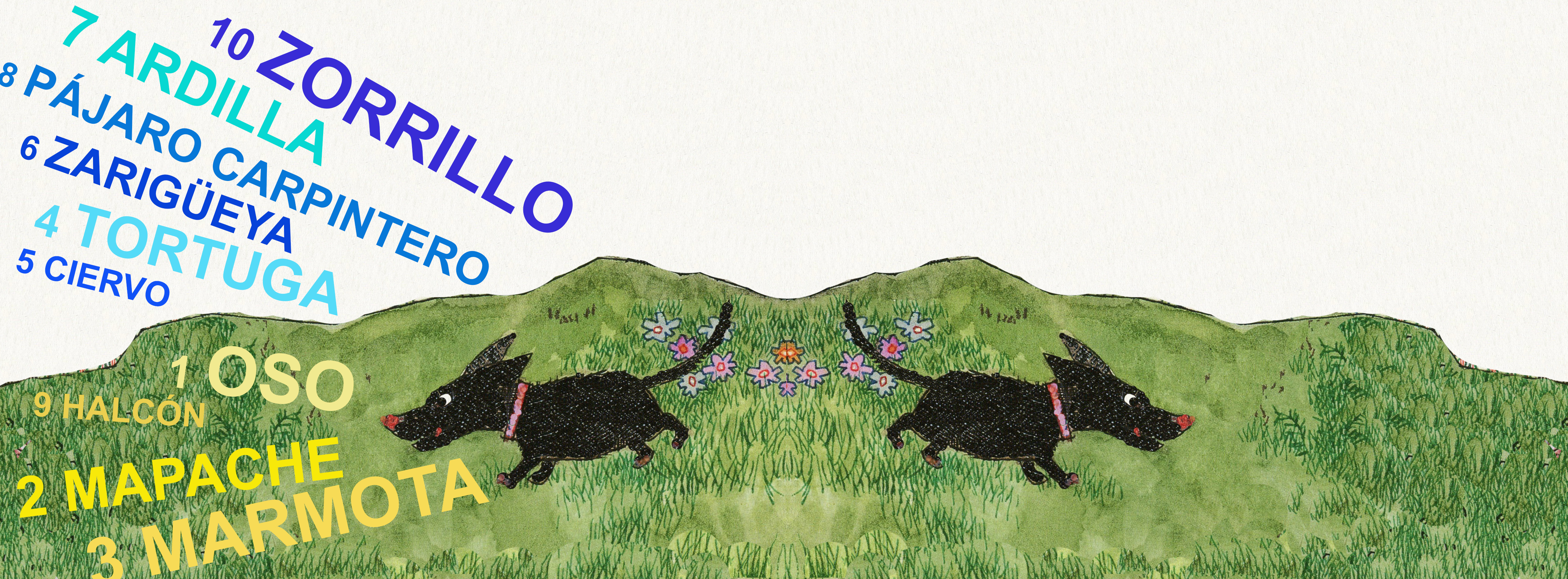 Escribe en inglés los nombres de estos animales que viven en el Valle del Hudson, ilustración de Cristina Brusca